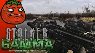 [Tomato] S.T.A.L.K.E.R.: Anomaly : Getting REAL nasty out here in the zone (GAMMA Ironman Warfare)