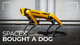 Why SpaceX Bought a Robotic Dog