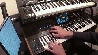 The model - Korg Pa5X cover