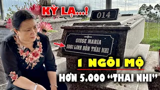 Làm Sáng Tỏ Việc Người Mẹ Bỏ Con Trong “Tủ Đông” Suốt 11 Năm, thật khó tin..! | Huỳnh Trung Vlog