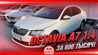 Octavia A7 1.4 DSG 7 за 600 тысяч Повезло! OkAuto Автоподбор