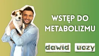 Wstęp do metabolizmu