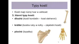 Př8 - Kosterní soustava (stavba kosti, spojení kostí)