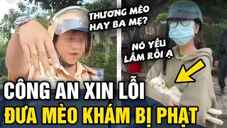 Toàn cảnh vụ 'ĐƯA MÈO ĐI KHÁM BỊ PHẠT' rồi quay clip đăng Tik Tok gây tranh cãi