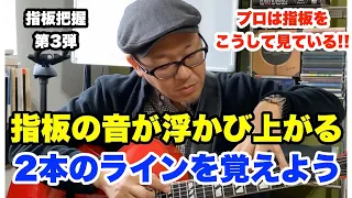 全ギタリスト必須！指板の音がくっきりと見えるようになる2本のラインを覚える【ギターレッスン】高免信喜