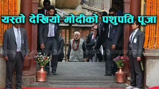 V - यस्तो देखियो मोदीको पशुपति पूजा || Narendra Modi at Pashupatinath Temple