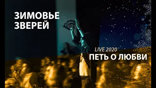 Зимовье Зверей | Петь о любви | Live 2020 | Константин Арбенин