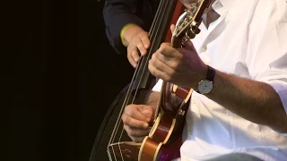 Birèli Lagrène .Just The Way Your Are (Festival Django Reinhardt 2015)