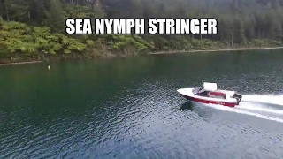 Sea Nymph Stinger 570