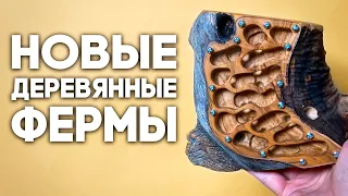 НОВЫЕ ДЕРЕВЯННЫЕ ФОРМИКАРИИ! РАСПАКОВКА ПОСЫЛКИ С МУРАВЬИНЫМИ ФЕРМАМИ ИЗ ПОЛЬШИ!  Димон и пумба