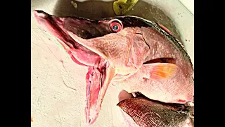GPS Coordinates to this HOGFISH and GROUPER spot! Catch & Cook- OFFSHORE TAMPA BAY