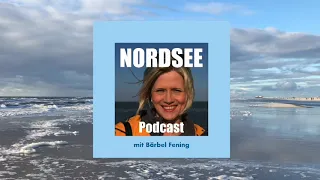 NORDSEE Podcast #119 Mit dem VAN die Nordsee entdecken mit Maximilian Buschmeyer