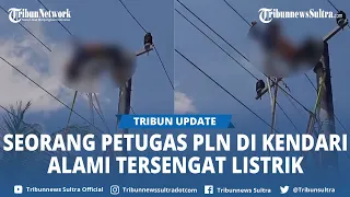 Viral Video Petugas PLN Tersengat Listrik hingga Kejang-kejang di Tiang di Kendari Sulawesi Tenggara