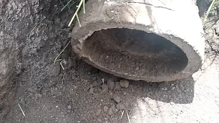 Colocación de drenaje con tubo de albañal