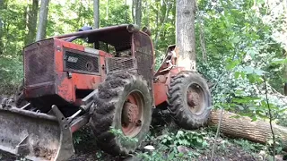 When Trees Eat Skidders