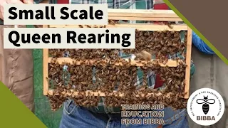 Small Scale Queen Rearing - Roger Patterson