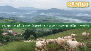 Camino 2023 - St. Jean Pied de Port - Orisson - Pyrenees - Roncesvalles - Auritz (28km)