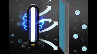 Inside a stylish tabletop UVC germicidal light.  (Skin, eye and lung hazard)