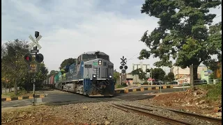 TREM VAZIO COM  160 VAGÕES SENTIDO  RONDONÓPOLIS MT PASSANDO EM SUMARÉ SP