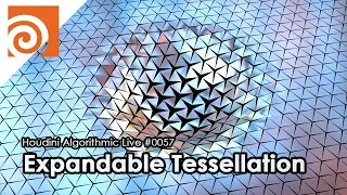 Houdini Algorithmic Live #057 - Expandable Tessellation