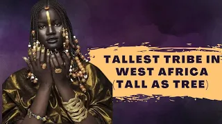 WOLOF TRIBE the tallest in west Africa - fact of Wolof tribe