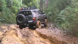 Yarra Valley - toyota surf