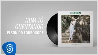 Elson do Forrogode - Num Tô Guentando (Álbum Completo: A Cada Dia Quero Mais)