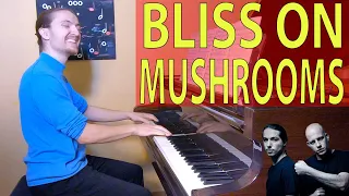 Etienne Venier - Infected Mushroom - Bliss on Mushrooms