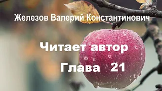 Валерий Железов. Автор читает опубликованные ранее статьи. Глава 21. Продолжение про семинары