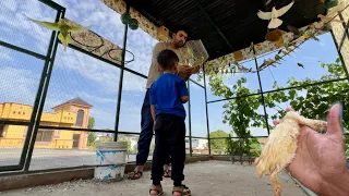 New Birds Master Cage Mey Azad Kr Diye 😍