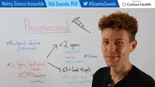 How the Pneumococcal Vaccines (Prevnar 13 & PPSV23) Work