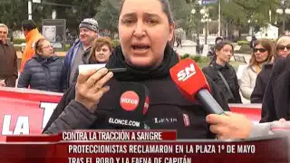 Proteccionistas se manifestaron por el robo y la muerte de un caballo