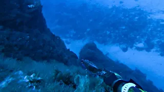 Spearfishing Kimolos and Uninhabited Polyaigos Island