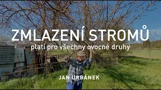 ZMLAZENÍ STROMŮ - platí pro všechny ovocné druhy