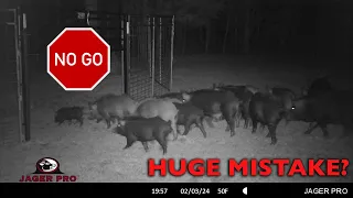 WILD HOG CONTROL | JAGER PRO™ TV Show | HUGE MISTAKE?