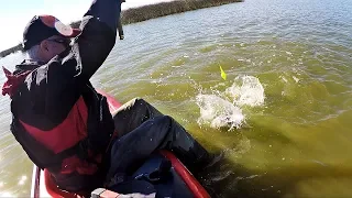 PESCA DE PEJERREYES EN LAGUNA SALADA DE MADARIAGA EN KAYAK