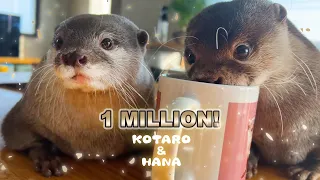 【1 Million Subscribers Special】The History of Otters Kotaro & Hana