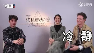 英国报姐 interview fantastic beasts cast: eddie redmayne, katherine waterston, ezra miller