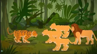 LION VS TIGER ANIMATION