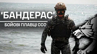 "Бандерас". Історія бойового плавця ССО