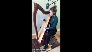 Cheb Hasni - Matebkich (Harp cover)