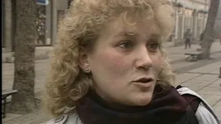 Deutscher Frühling im Dezember - Was verändert sich entlang der deutsch-deutschen Grenze (1989)