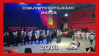 2018 Conjunto Estilizado Mayor | TEJIENDO RAICES