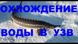 ОХЛАЖДЕНИЕ ВОДЫ В УЗВ