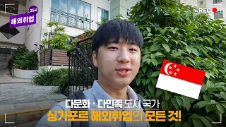 [해외취업 25시] 싱가포르 재무기획자가 직접 알려주는✨싱가포르 해외취업의 모든 것✨