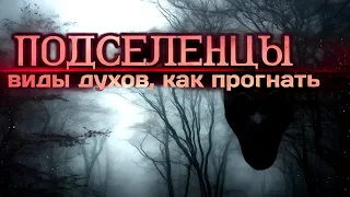 Подселенцы. Признаки подселенцев. Астральные сущности, бесы.