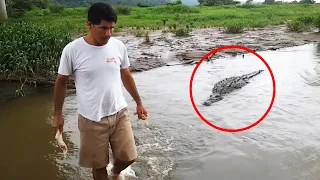 30 Encontros Com Crocodilos Mais Assustadores Do Ano