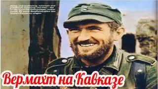 Mountain division "Edelweiss" in the Caucasus Why German Rangers do not write memoirs