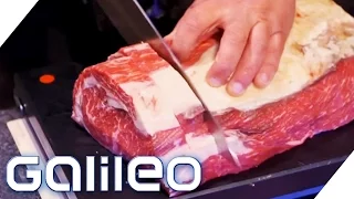 Kann der "Intelligente Grill" mit dem Profikoch mithalten? | Galileo Lunch Break