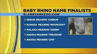 Blank Park Zoo: Name finalists for the baby rhino